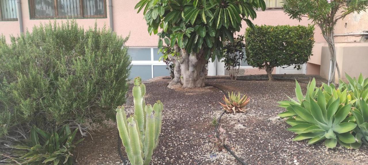 Acapulco Paradise Playa Feñabe Eksteriør billede